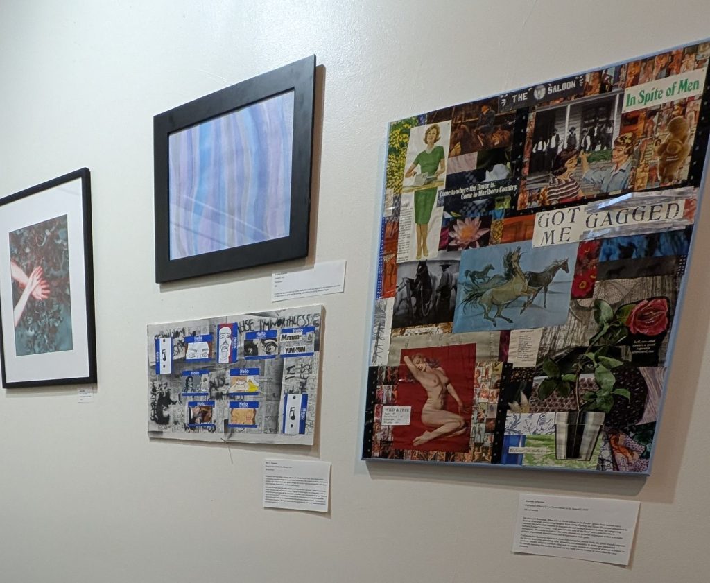 Art on display during the "Got Me Gagged" night of music and art at Stokes Nature Center