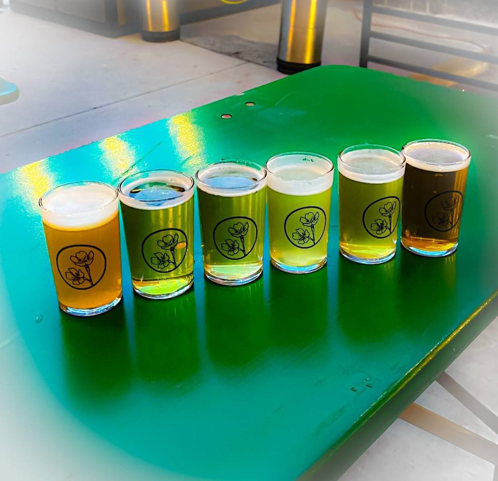 A sampler of local Logan beers made by Home Range Brewing.
